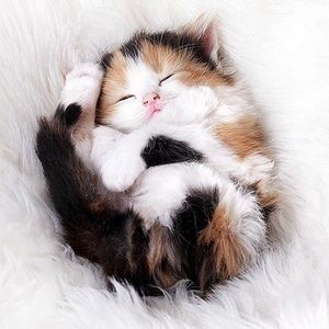 Meet your Posher, Svitlana